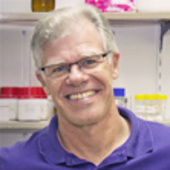 Inner ear – News, Research and Analysis – The Conversation – page 1
