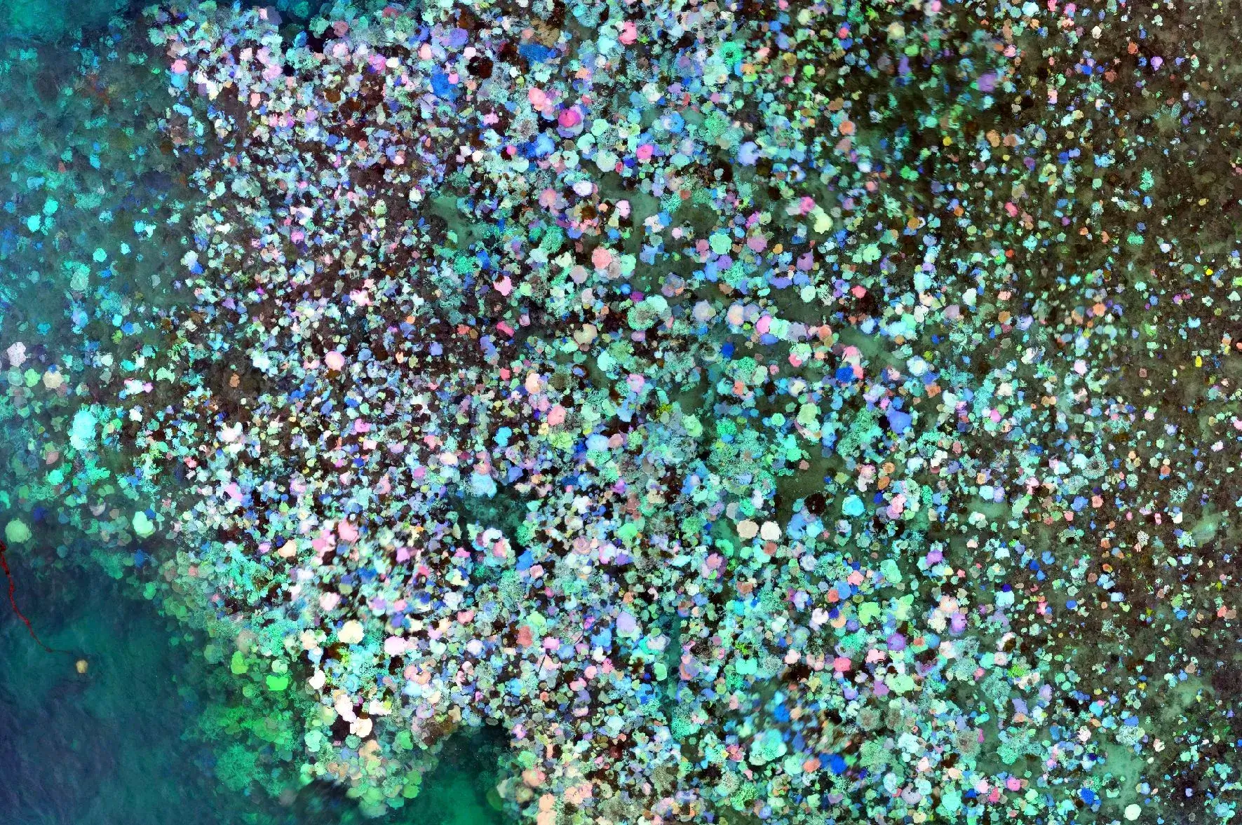 Great barrier reef extent after