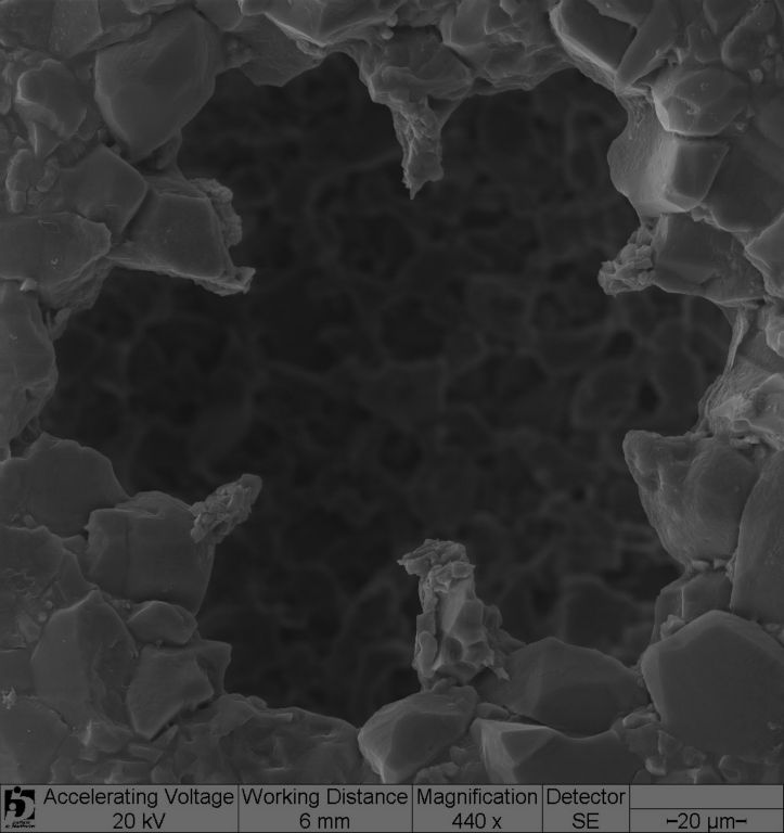 Detail of the lobed aperture in a Cyclopyxis lobostoma, showing the intricate pattern of minute minerals used for construction. Anush Kosakyan